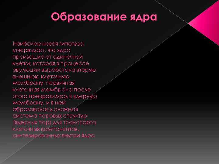 Образование ядра Наиболее новая гипотеза, утверждает, что ядро произошло от одиночной клетки, которая в