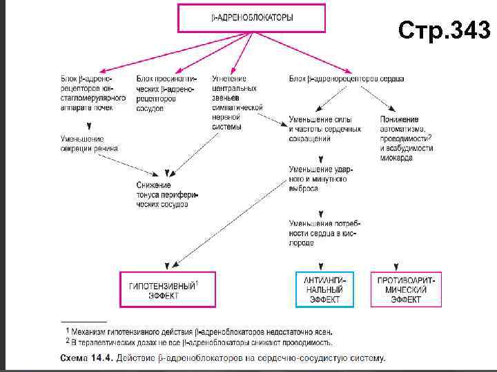 Стр. 343 