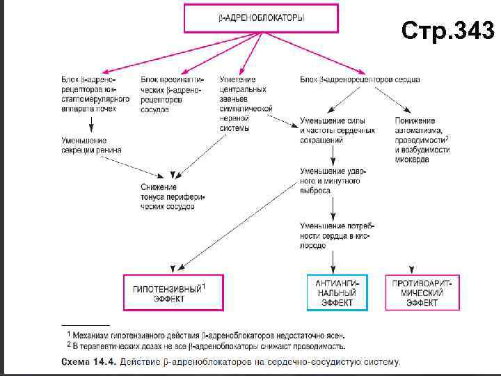 Стр. 343 