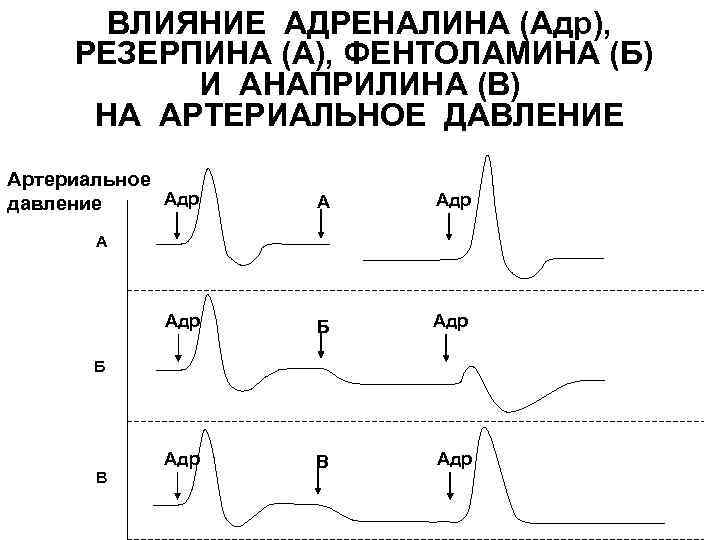 Влияние адреналина на организм