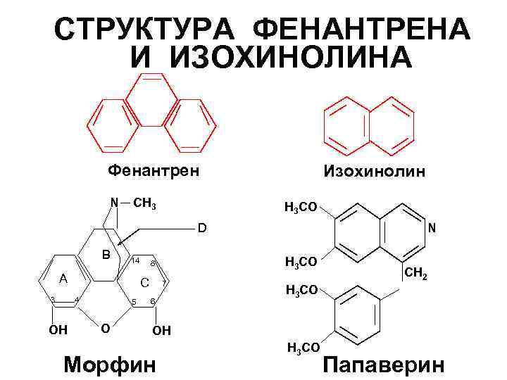 СТРУКТУРА ФЕНАНТРЕНА И ИЗОХИНОЛИНА Фенантрен N CH 3 Изохинолин H 3 CO D B