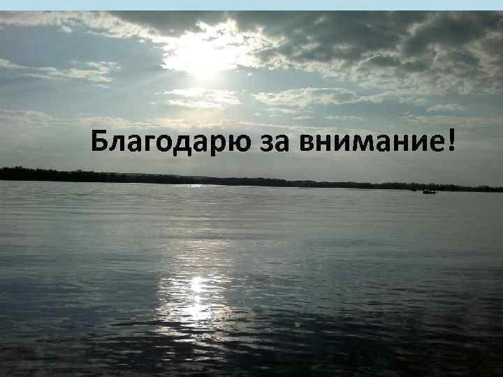 Благодарю за внимание! 