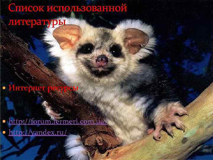 Список использованной литературы Интернет ресурсы http: //forum. fermeri. com. ua/ http: //yandex. ru/ 