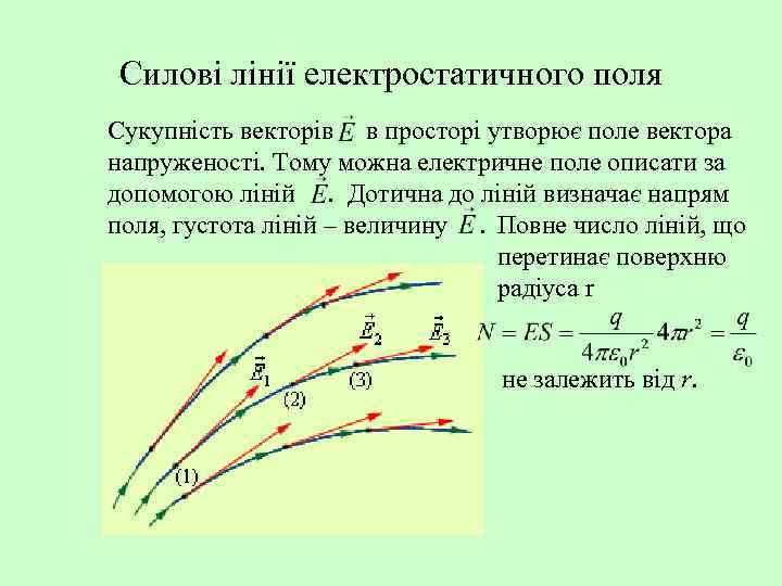 Силові лінії електростатичного поля Сукупність векторів в просторі утворює поле вектора напруженості. Тому можна