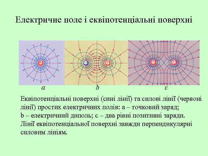 Електричне поле і еквіпотенціальні поверхні a b c Еквіпотенціальні поверхні (сині лінії) та силові
