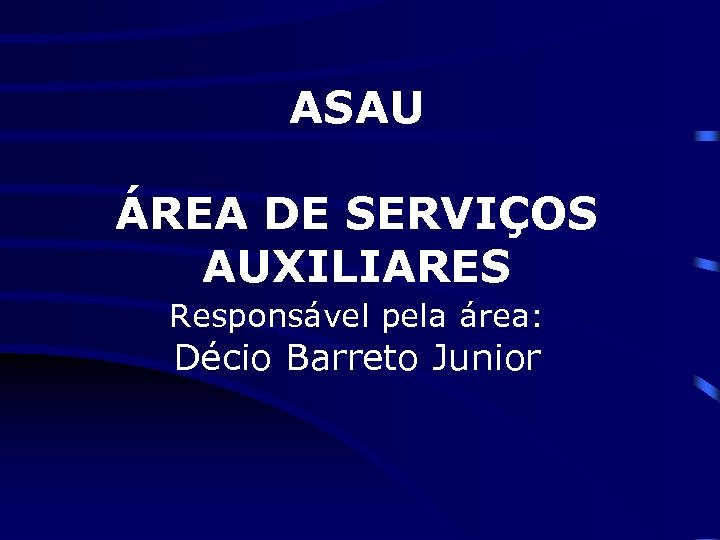 ASAU ÁREA DE SERVIÇOS AUXILIARES Responsável pela área: Décio Barreto Junior 