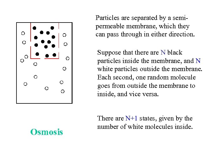 Particles are separated by a semipermeable membrane, which they can pass through in either