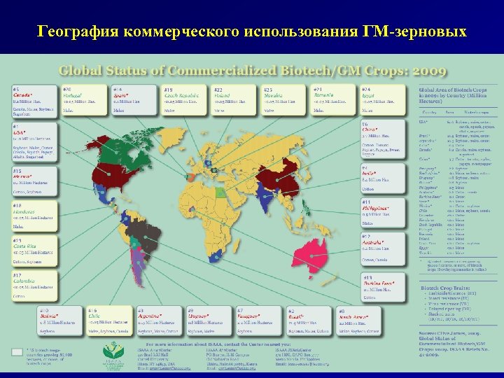 География коммерческого использования ГМ-зерновых 