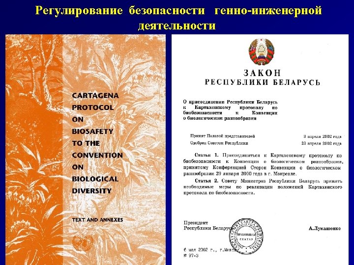  Регулирование безопасности генно-инженерной деятельности 