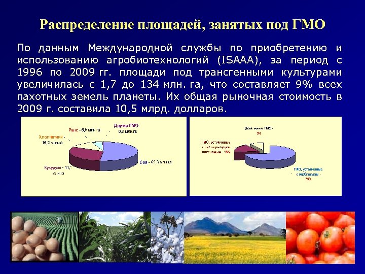 Распределение площадей, занятых под ГМО По данным Международной службы по приобретению и использованию агробиотехнологий