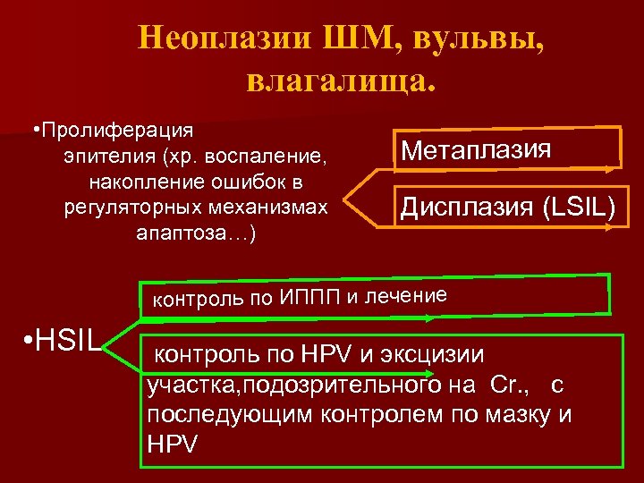 Неоплазии ШМ, вульвы, влагалища. • Пролиферация эпителия (хр. воспаление, накопление ошибок в регуляторных механизмах