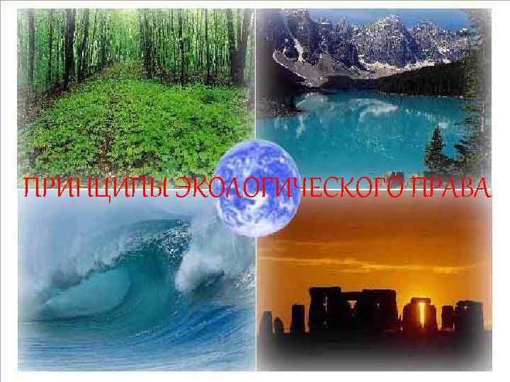 ПРИНЦИПЫ ЭКОЛОГИЧЕСКОГО ПРАВА 