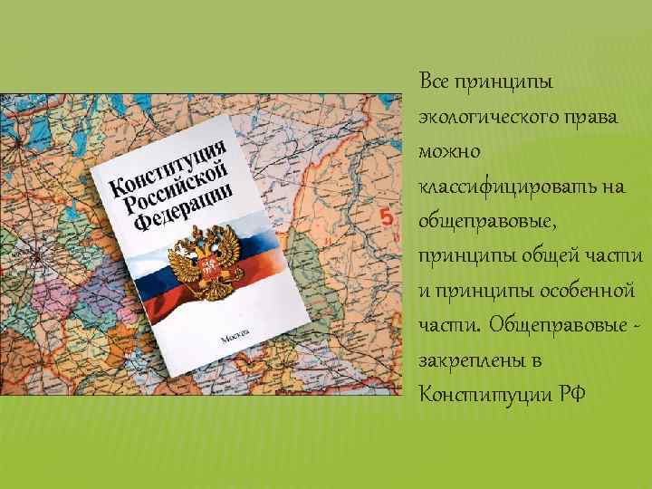 Все принципы экологического права можно классифицировать на общеправовые, принципы общей части и принципы особенной