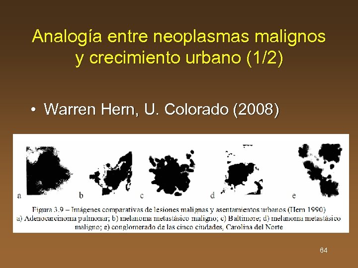 Analogía entre neoplasmas malignos y crecimiento urbano (1/2) • Warren Hern, U. Colorado (2008)