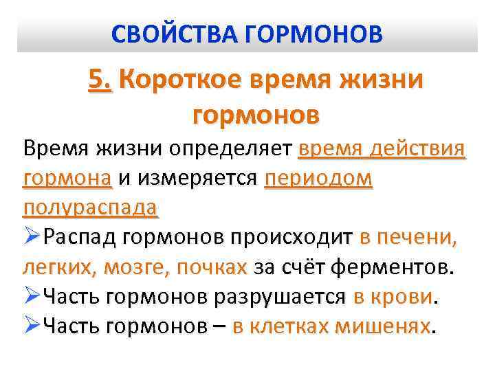 СВОЙСТВА ГОРМОНОВ 5. Короткое время жизни гормонов Время жизни определяет время действия гормона и