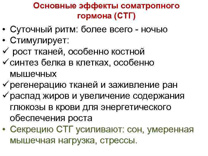 Основные эффекты соматропного гормона (СТГ) • Суточный ритм: более всего - ночью • Стимулирует: