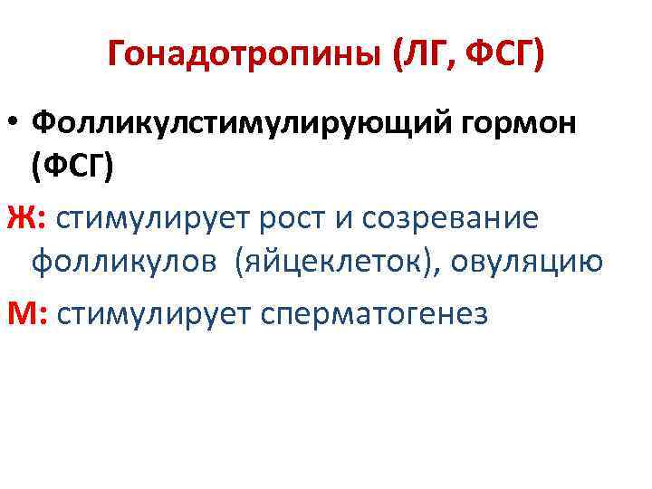 Гонадотропины (ЛГ, ФСГ) • Фолликулстимулирующий гормон (ФСГ) Ж: стимулирует рост и созревание фолликулов (яйцеклеток),