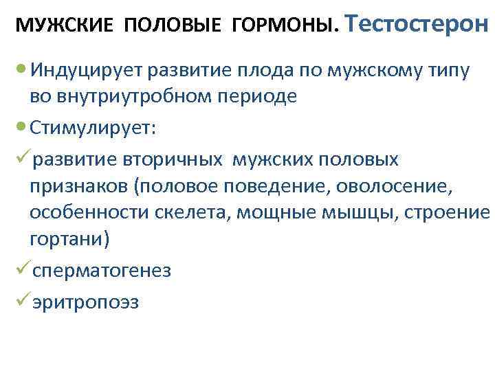 МУЖСКИЕ ПОЛОВЫЕ ГОРМОНЫ. Тестостерон Индуцирует развитие плода по мужскому типу во внутриутробном периоде Стимулирует: