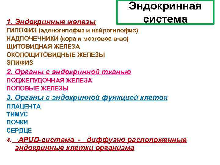 1. Эндокринные железы Эндокринная система ГИПОФИЗ (аденогипофиз и нейрогипофиз) НАДПОЧЕЧНИКИ (кора и мозговое в-во)