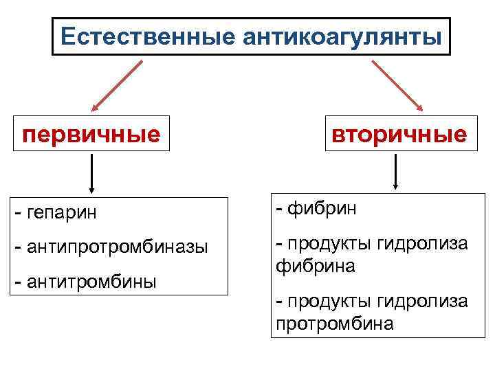 Естественные антикоагулянты первичные вторичные - гепарин - фибрин - антипротромбиназы - продукты гидролиза фибрина
