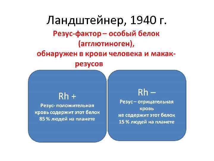 Ландштейнер, 1940 г. 