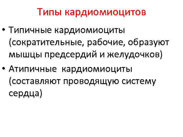 Типы кардиомиоцитов • Типичные кардиомиоциты (сократительные, рабочие, образуют мышцы предсердий и желудочков) • Атипичные