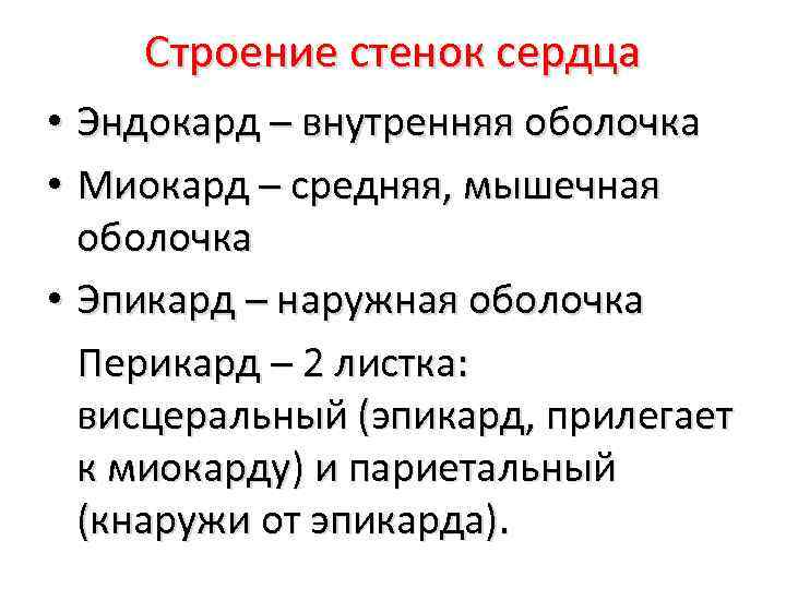 Строение стенок сердца • Эндокард – внутренняя оболочка • Миокард – средняя, мышечная оболочка