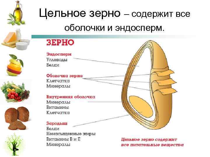 Цельное зерно – содержит все оболочки и эндосперм. 