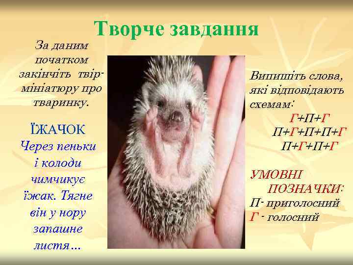 Творче завдання За даним початком закінчіть твірмініатюру про тваринку. ЇЖАЧОК Через пеньки і колоди