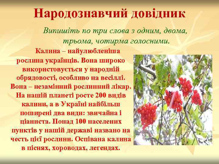 Народознавчий довідник Випишіть по три слова з одним, двома, трьома, чотирма голосними. Калина –