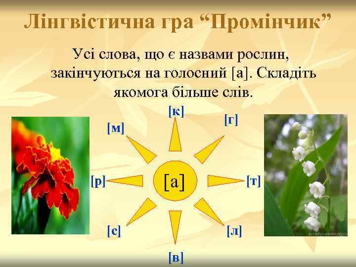 Лінгвістична гра “Промінчик” Усі слова, що є назвами рослин, закінчуються на голосний [а]. Складіть