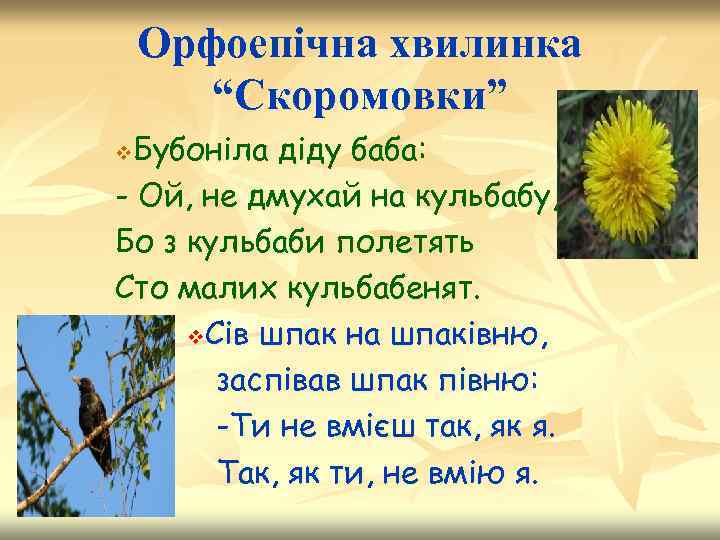 Орфоепічна хвилинка “Скоромовки” Бубоніла діду баба: - Ой, не дмухай на кульбабу, Бо з