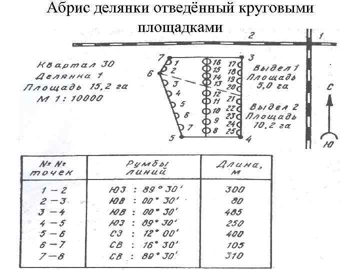 Абрис делянки отведённый круговыми площадками 