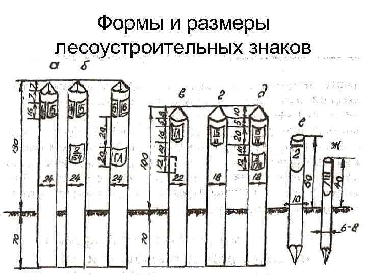 Формы и размеры лесоустроительных знаков 