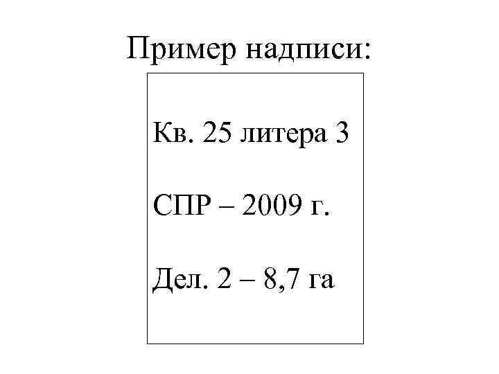 Пример надписи: Кв. 25 литера 3 СПР – 2009 г. Дел. 2 – 8,