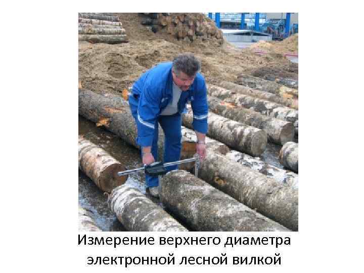 Измерение верхнего диаметра электронной лесной вилкой 