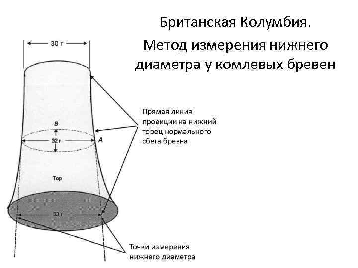 Британская Колумбия. Метод измерения нижнего диаметра у комлевых бревен 
