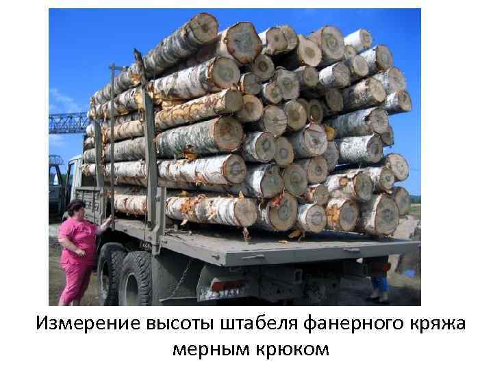 Измерение высоты штабеля фанерного кряжа мерным крюком 