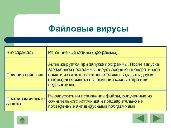 Файловые вирусы Что заражает Исполняемые файлы (программы). Принцип действия Активизируется при запуске программы. После