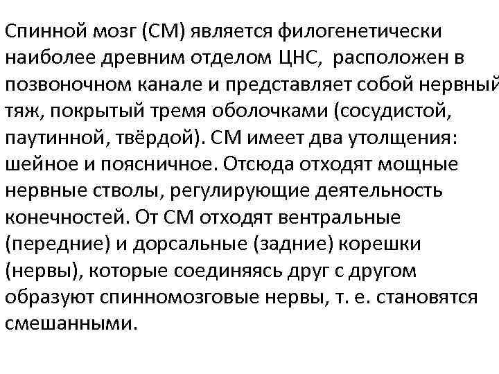 Спинной мозг (СМ) является филогенетически наиболее древним отделом ЦНС, расположен в позвоночном канале и