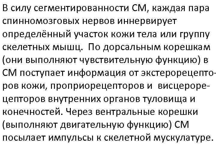 В силу сегментированности СМ, каждая пара спинномозговых нервов иннервирует определённый участок кожи тела или