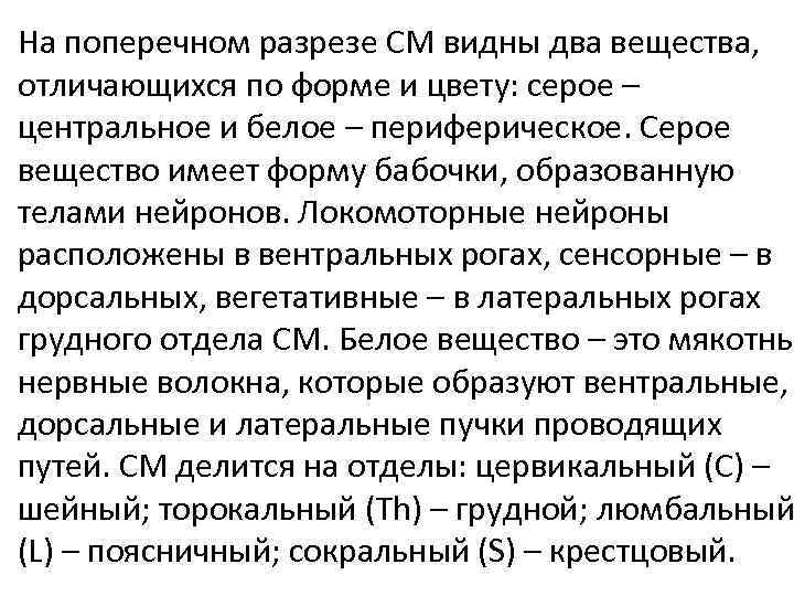 На поперечном разрезе СМ видны два вещества, отличающихся по форме и цвету: серое –