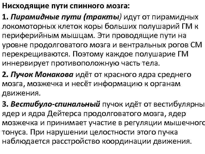Нисходящие пути спинного мозга: 1. Пирамидные пути (тракты) идут от пирамидных локомоторных клеток коры