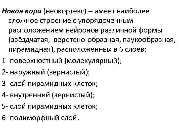 Новая кора (неокортекс) – имеет наиболее сложное строение с упорядоченным расположением нейронов различной формы