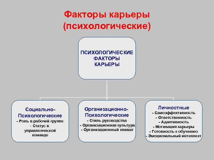 Проект по технологии 8 класс профессиональное самоопределение