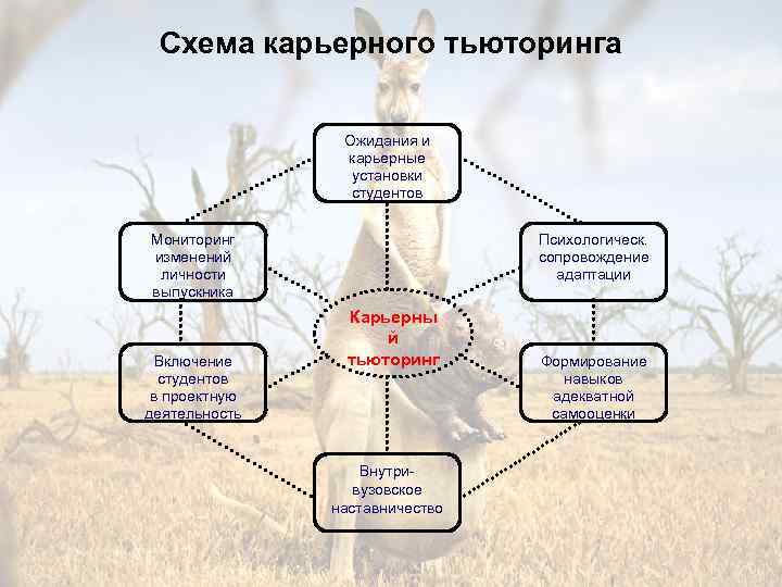 Схема карьерного тьюторинга Ожидания и карьерные установки студентов Психологическ. сопровождение адаптации Мониторинг изменений личности