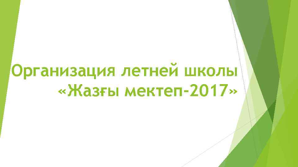 Организация летней школы «Жазғы мектеп-2017» 