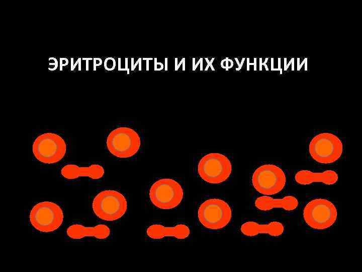 ЭРИТРОЦИТЫ И ИХ ФУНКЦИИ 