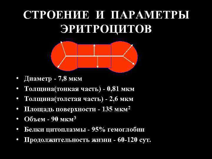 СТРОЕНИЕ И ПАРАМЕТРЫ ЭРИТРОЦИТОВ • • Диаметр - 7, 8 мкм Толщина(тонкая часть) -
