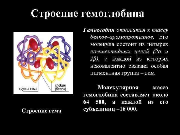 Строение гемоглобина Гемоглобин относится к классу белков–хромопротеинов. Его молекула состоит из четырех полипептидных цепей